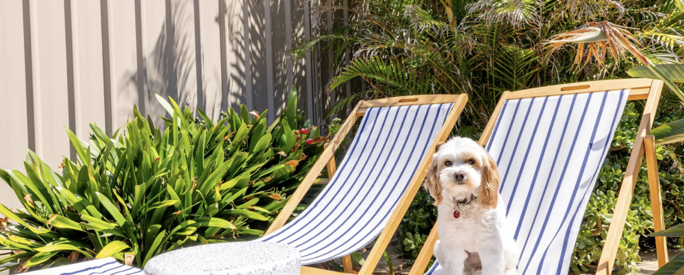 Pet Friendly Accommodation Nelson Bay