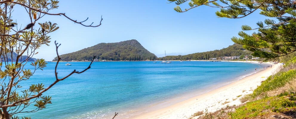 Easter Hot Deal 20% off