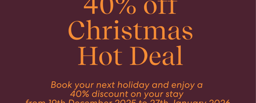 Christmas Hot Deal 40% off